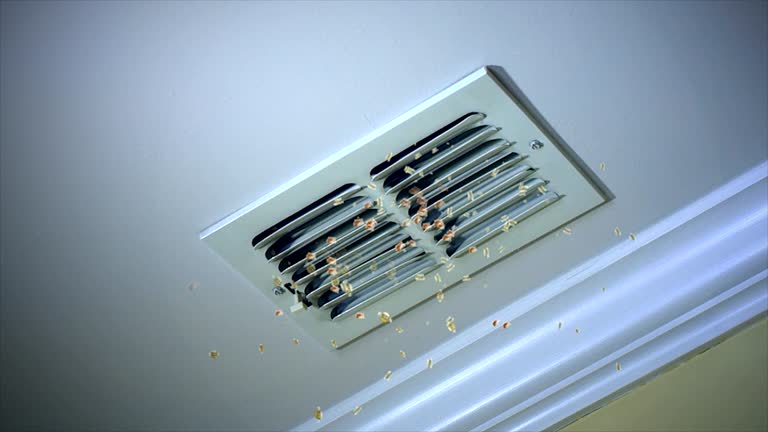 Best Local Air Duct Cleaning Services  in Evansdale, IA