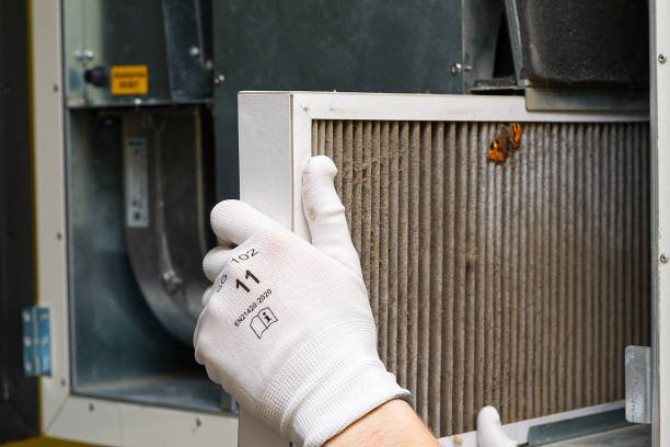 Best Professional Duct Cleaning Services  in Evansdale, IA